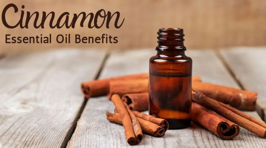 Cinnamon Bark Essential Oil: Aromatherapy's Secret Weapon - Kerala Spices